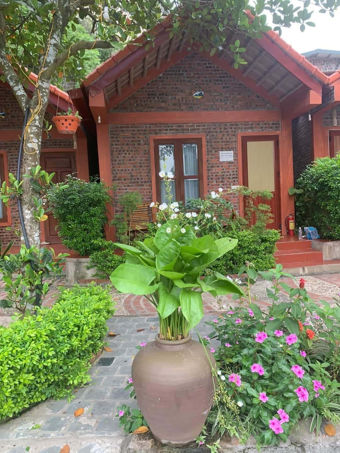 justfly bungalow gia dinh viet anh homestay ninh binh