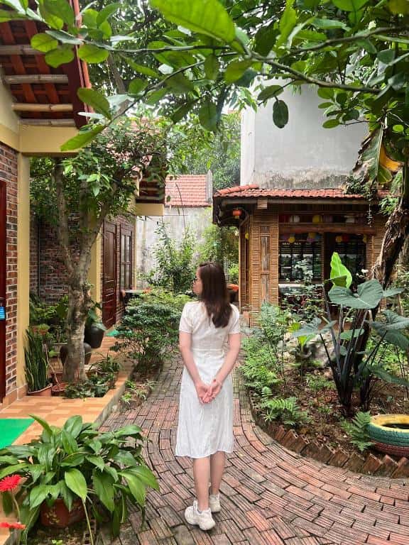 justfly bungalow gia dinh viet anh homestay ninh binh