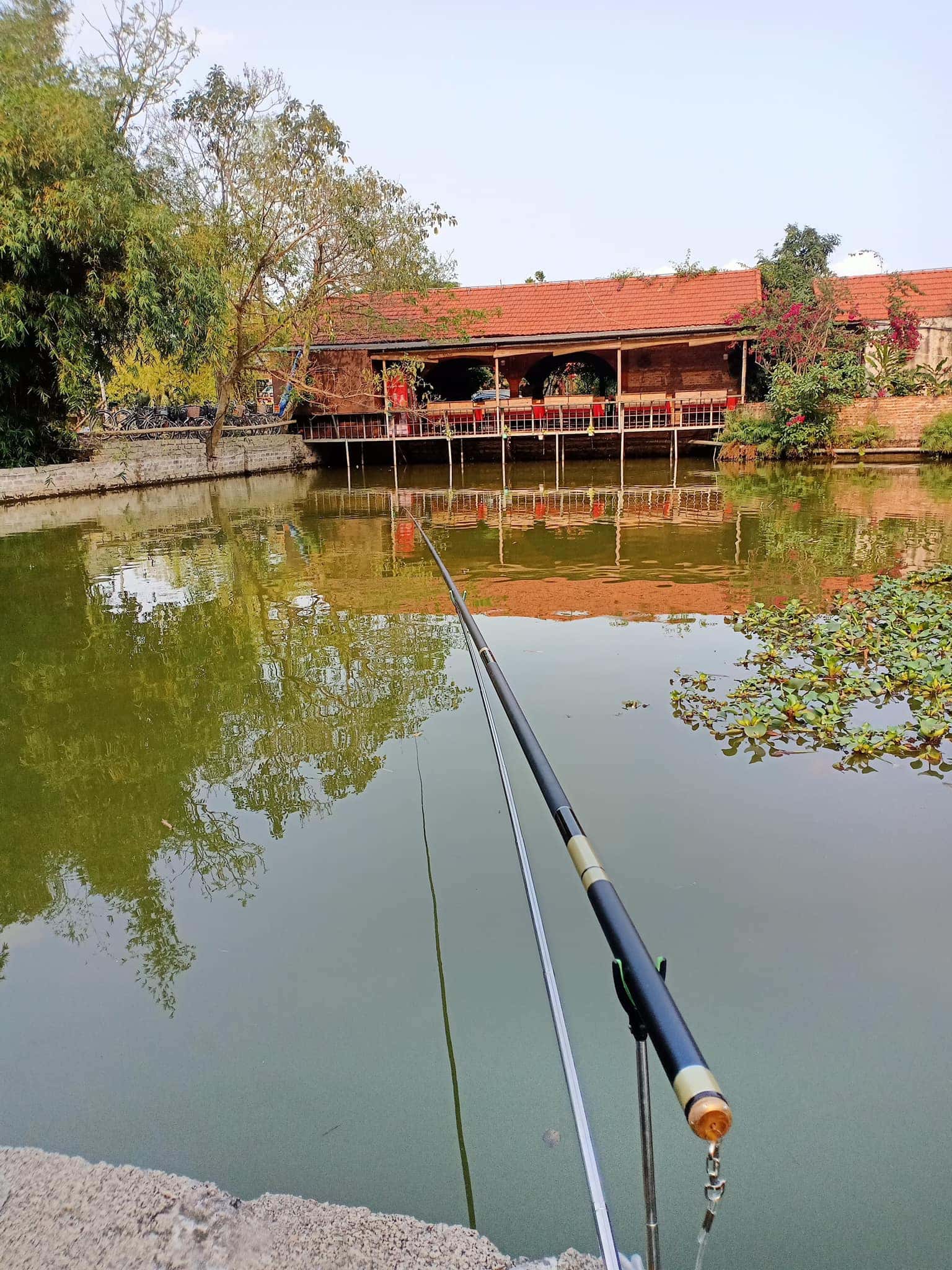 justfly tam coc garden homestay ninh binh