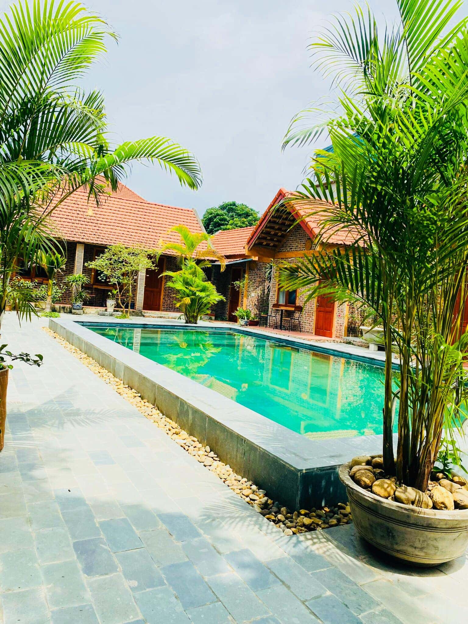justfly tam coc tropical homestay ninh binh