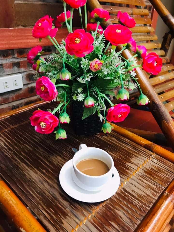 justfly tam coc mr loa homestay ninh binh
