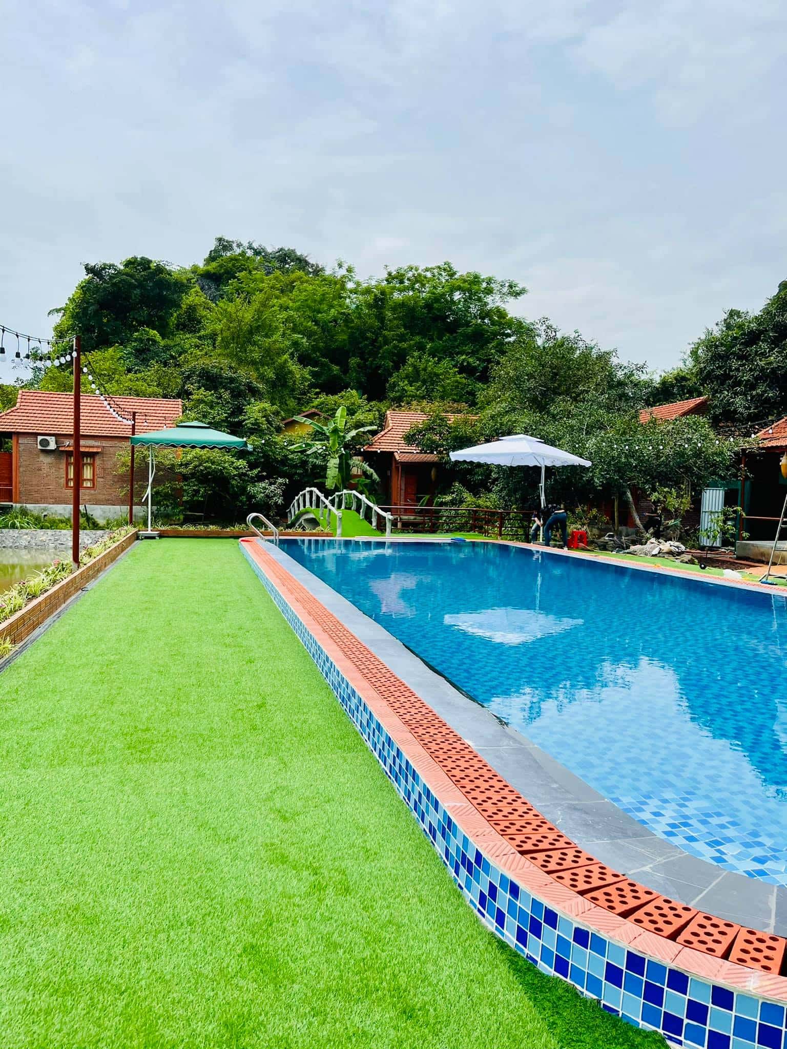 trang an lotus lake homestay