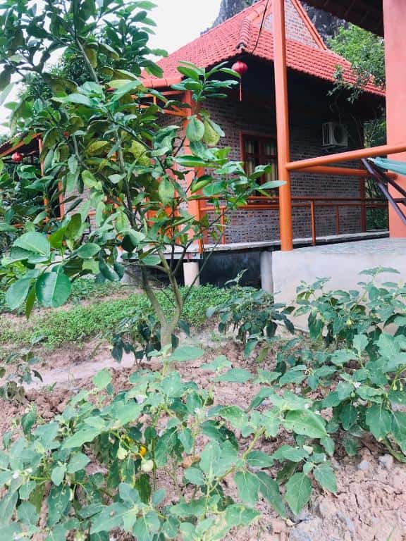 phong gia dinh view nui trang an lotus lake homestay ninh binh