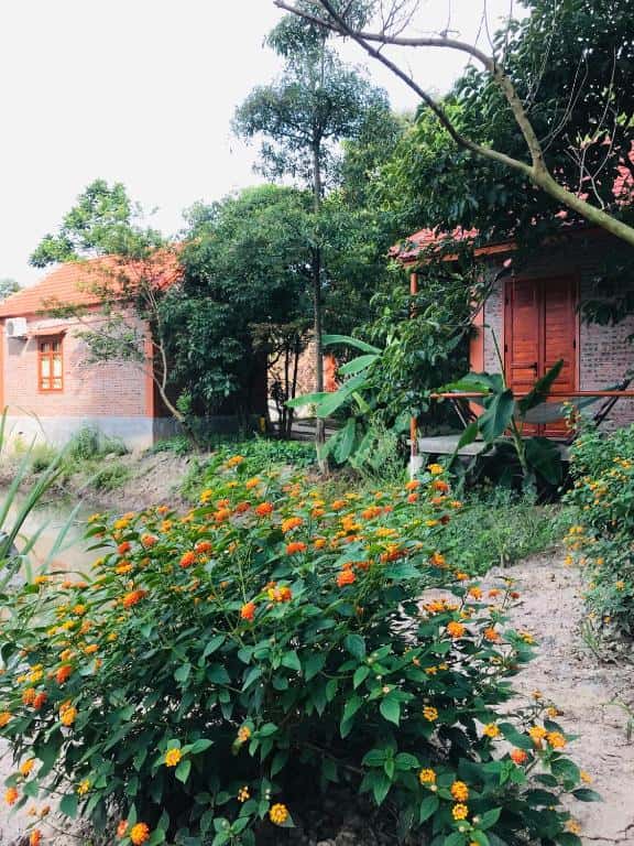 phong gia dinh view nui trang an lotus lake homestay ninh binh