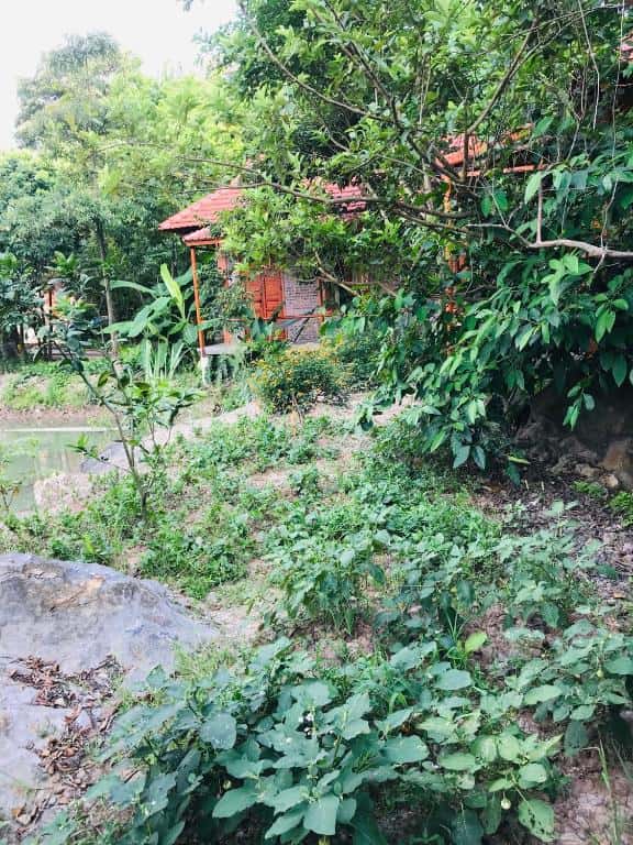 phong gia dinh view nui trang an lotus lake homestay ninh binh