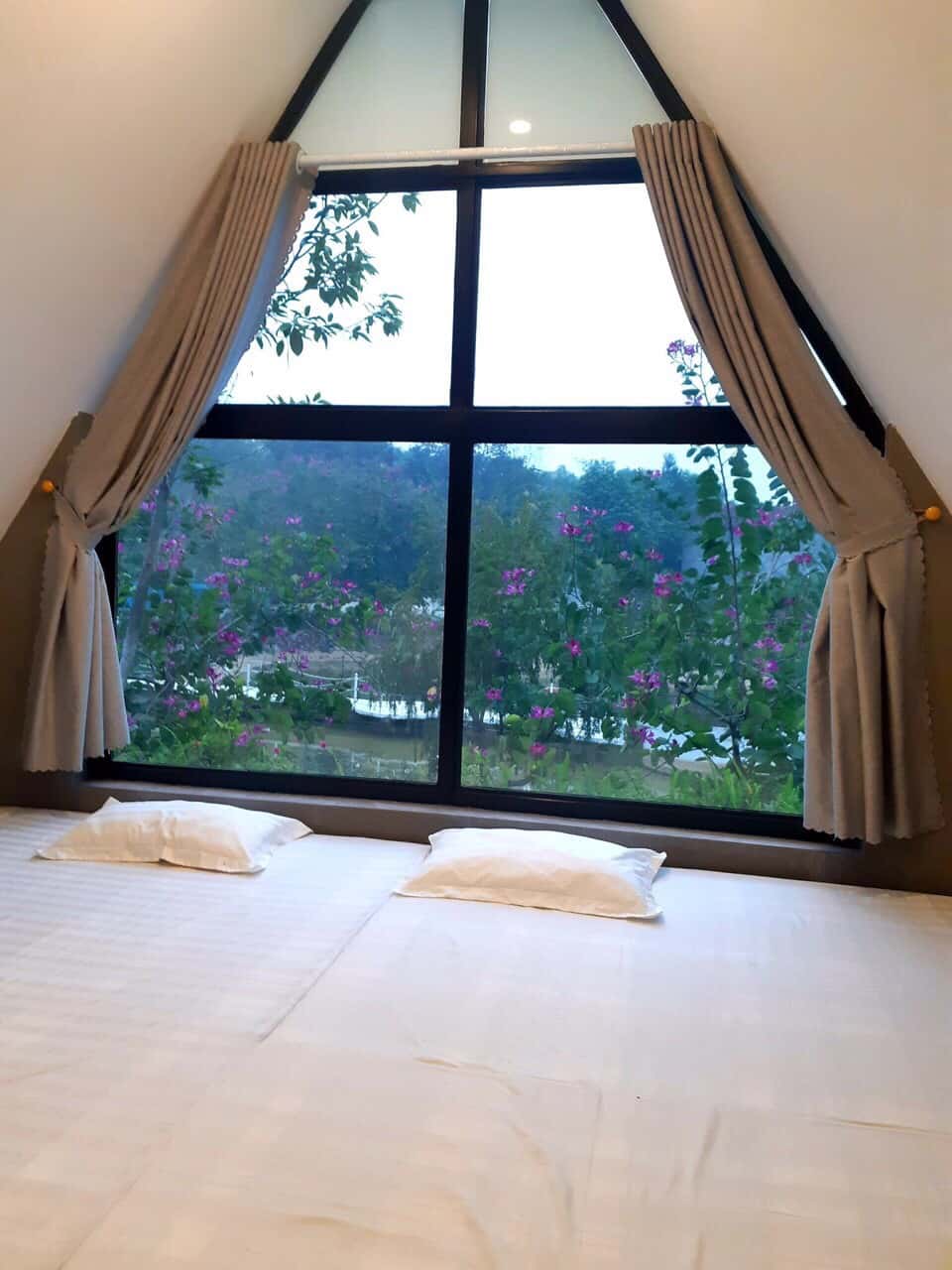 Bungalow Daisy, Ba Vì — ảnh 5