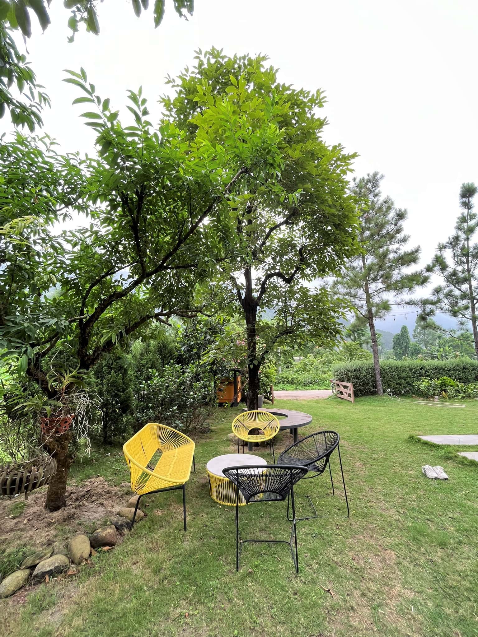 nam casa villa san golf tam dao