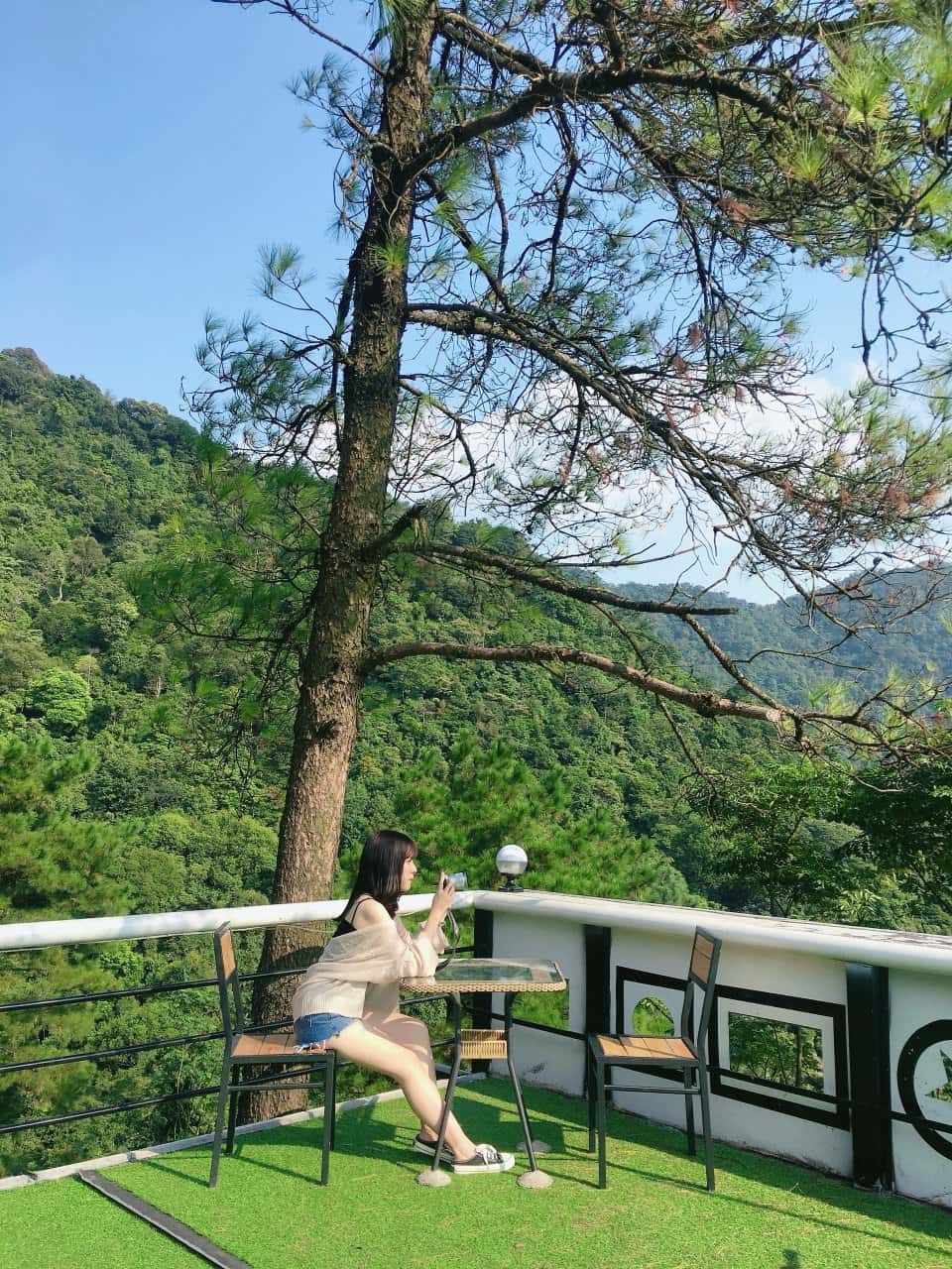 justfly khuon vien du thuyen tam dao