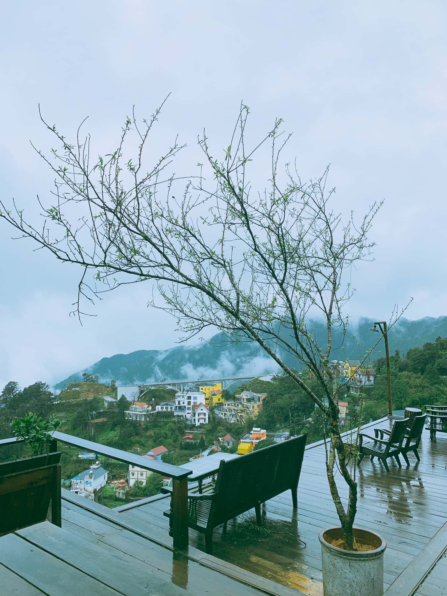 justfly co la homestay tam dao