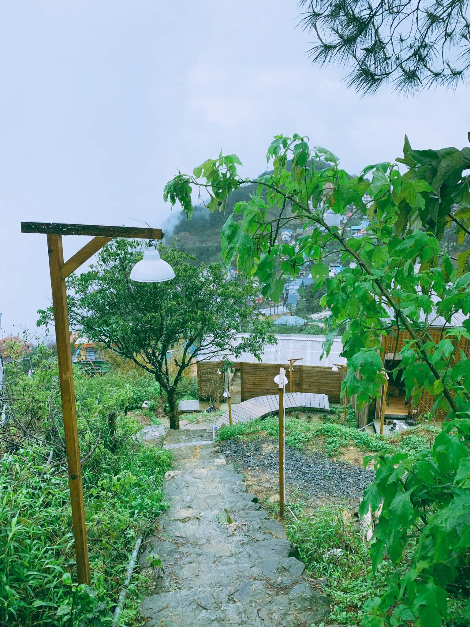 justfly co la homestay tam dao