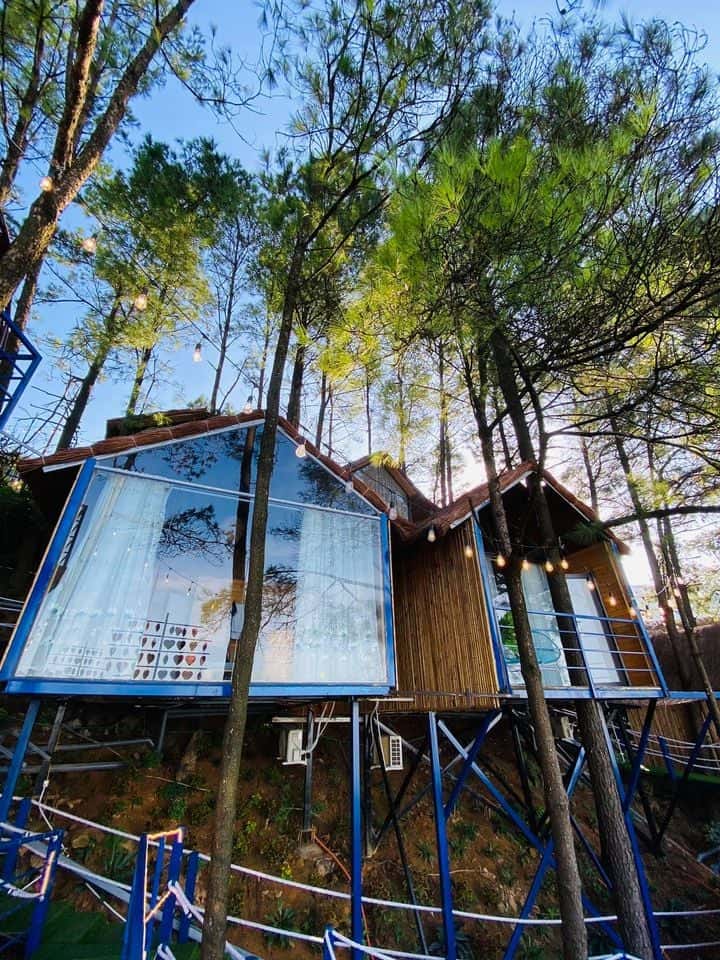 p211 nha cay 1 gian poko ecolodge tam dao