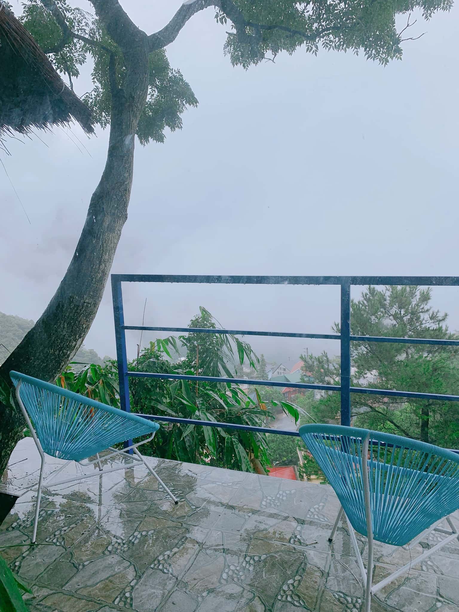 p208 nha cay 1 gian poko ecolodge tam dao