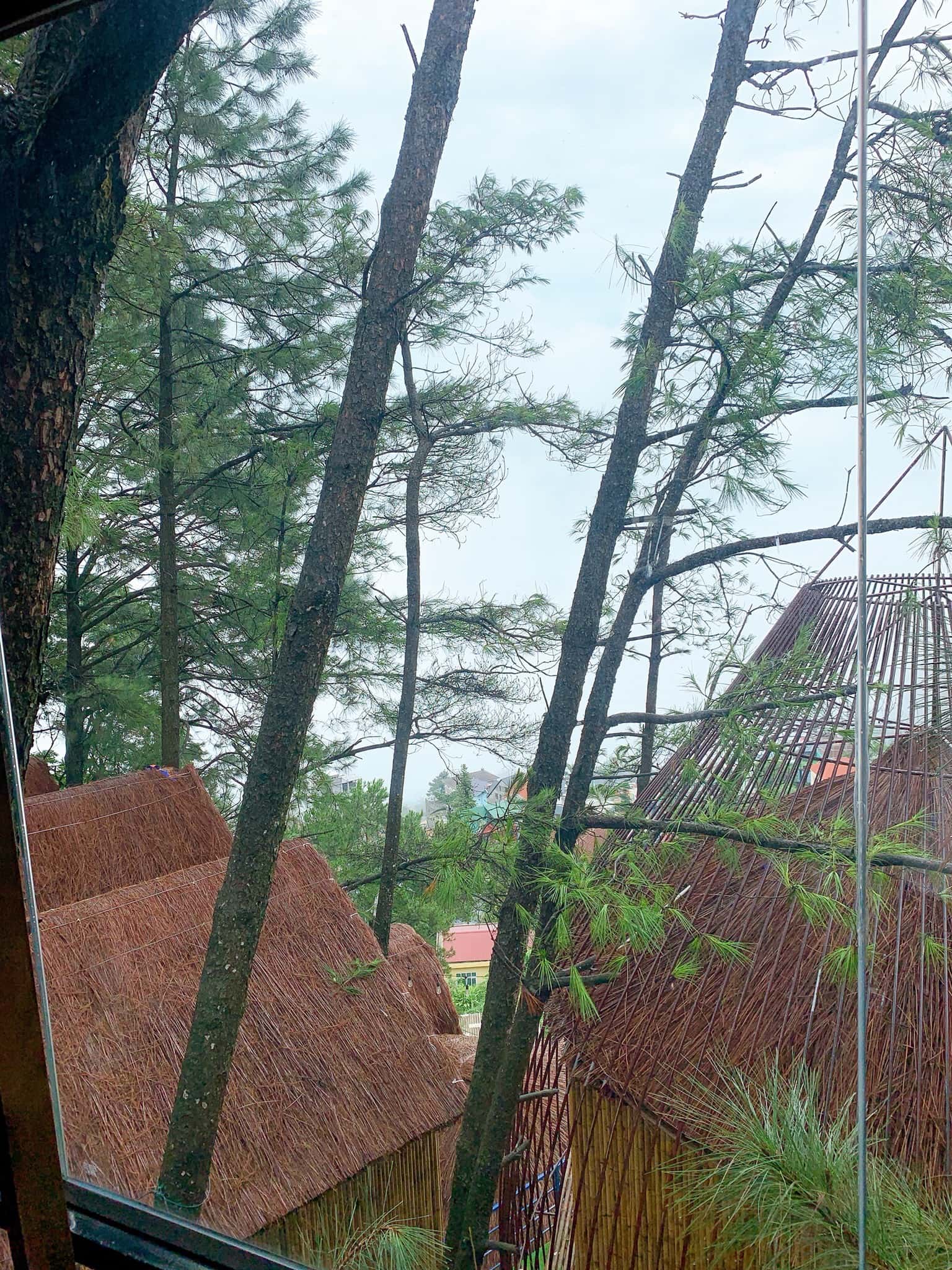 p220 nha cay 1 gian poko ecolodge tam dao