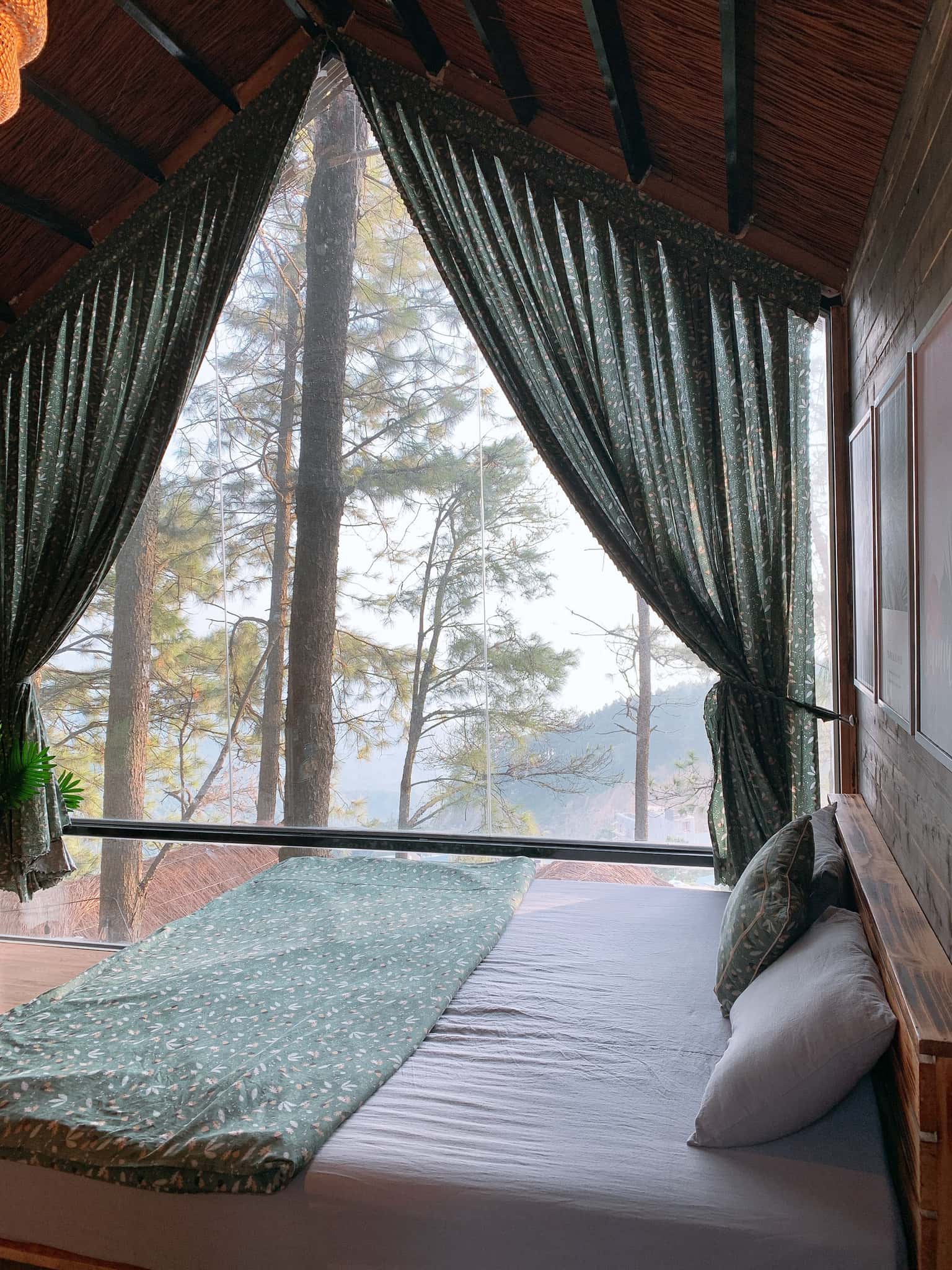 P222 - 单间树屋，Tam Đảo — 照片 12
