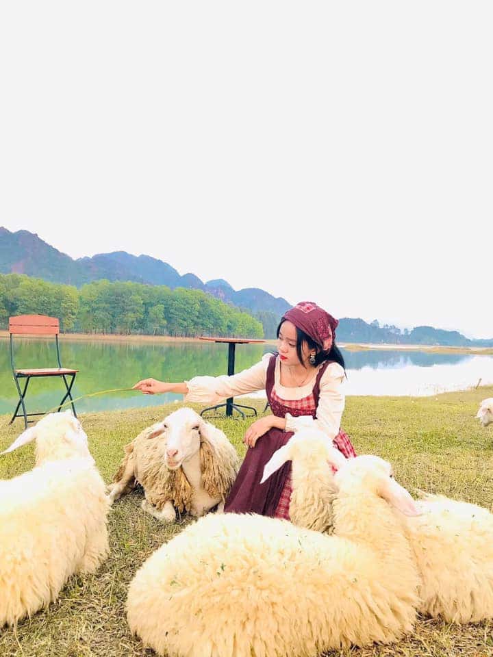 doi cuu dia diem du lich ninh binh attnib18