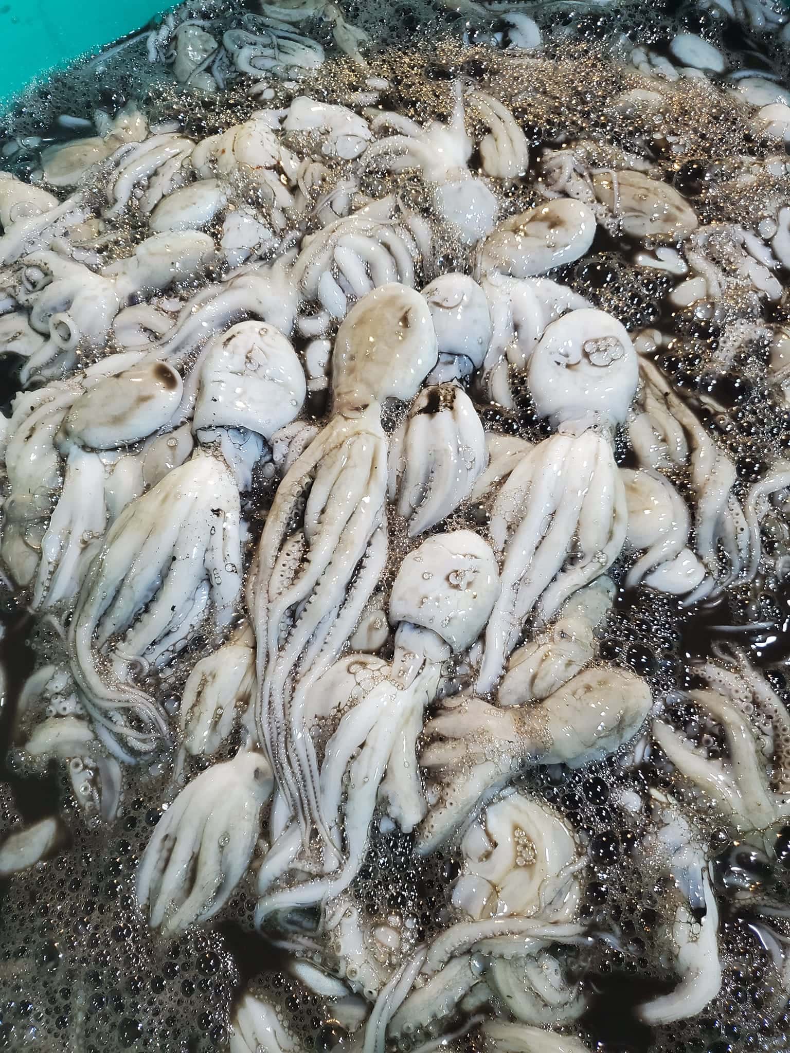 cho dem vung tau dia diem du lich vung tau attvut10