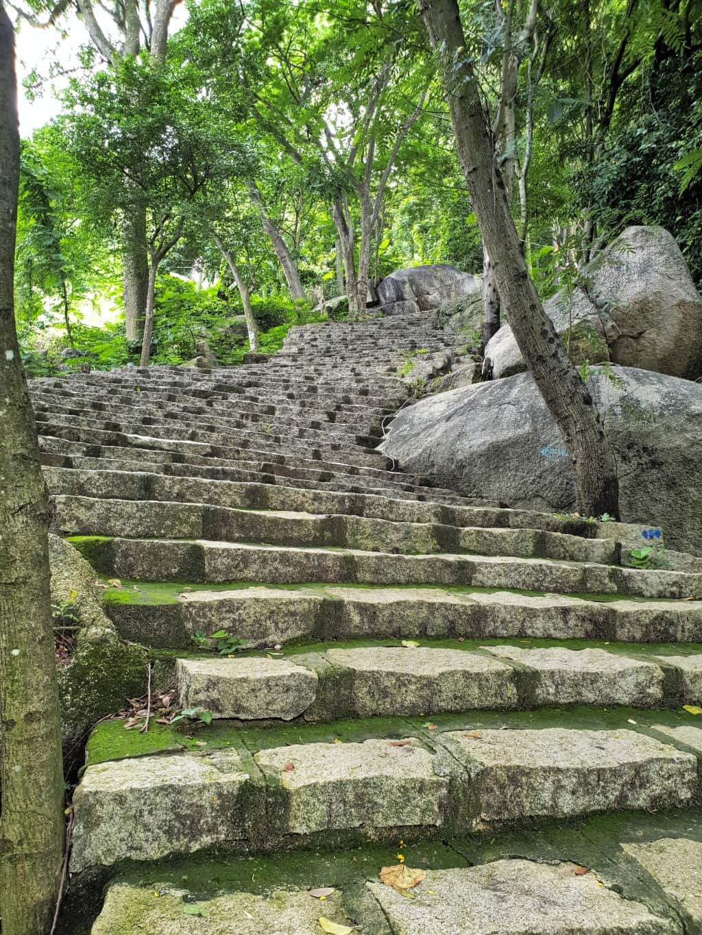 chua linh son buu thien tu dia diem du lich vung tau attvut43