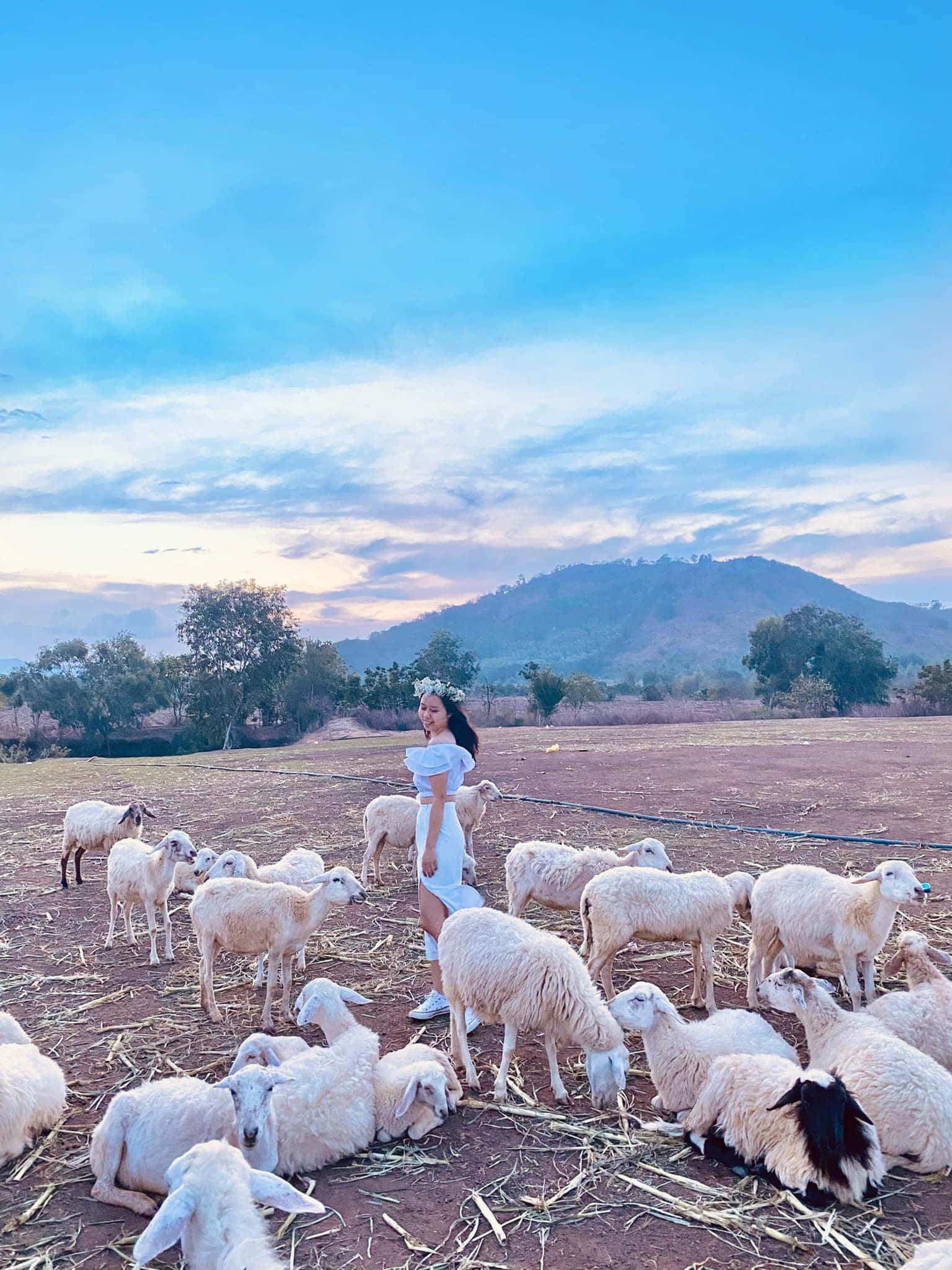 doi cuu suoi nghe dia diem du lich vung tau attvut26