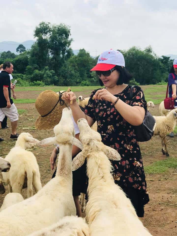 doi cuu suoi nghe dia diem du lich vung tau attvut26