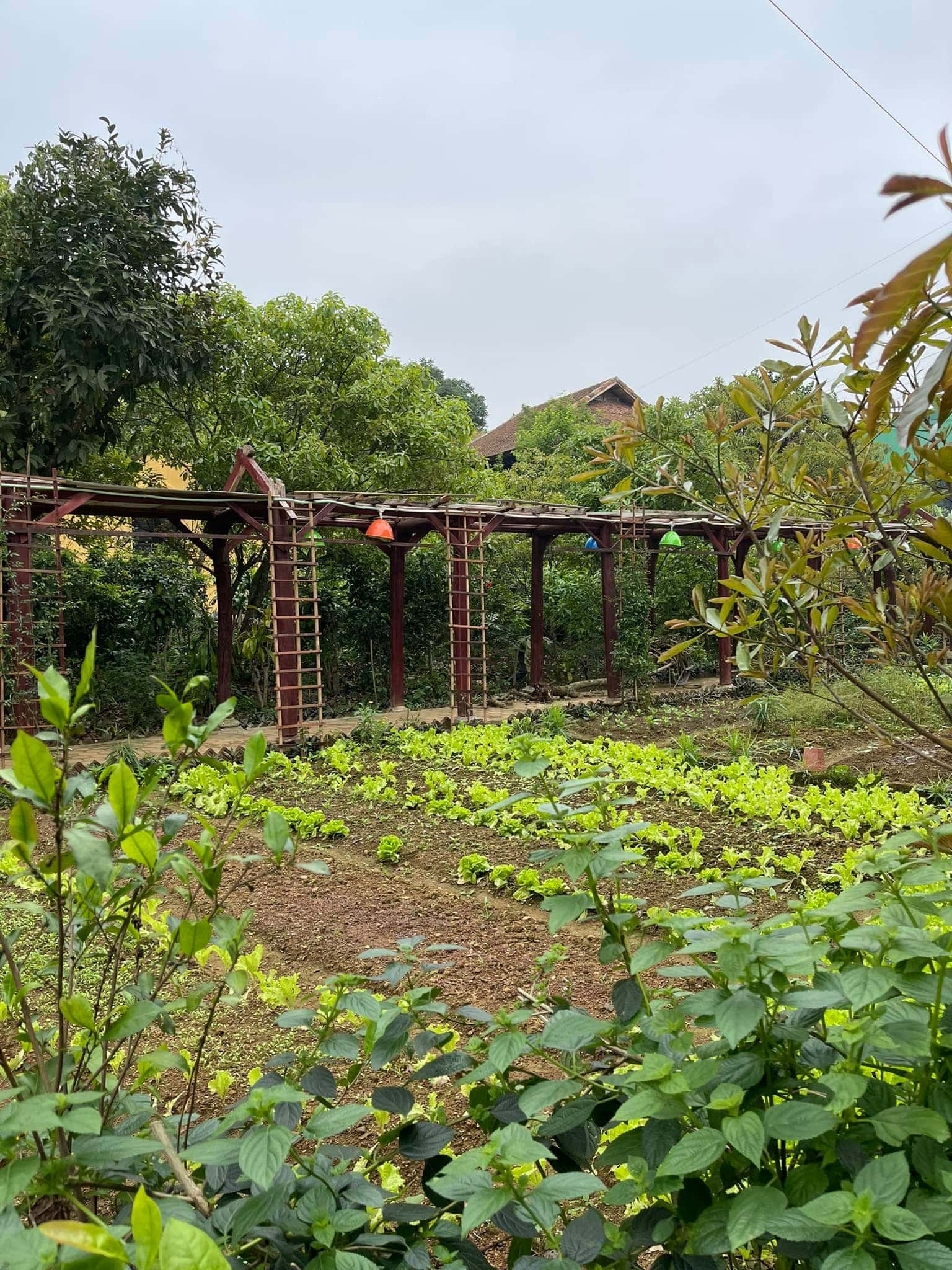 khuon vien hoat dong nala hoa binh