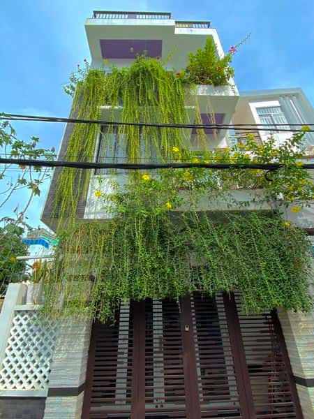 justfly 38 nguyen hien tran duy villa vung tau