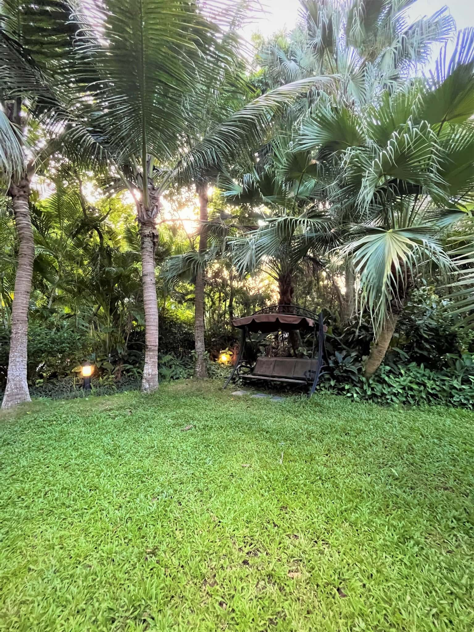 charm m19 flamingo dai lai vinh phuc
