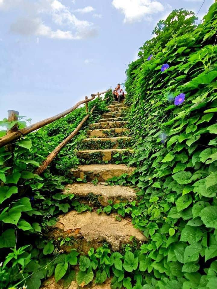 Tata Mini - Chillout Village, Tam Đảo — ảnh 20