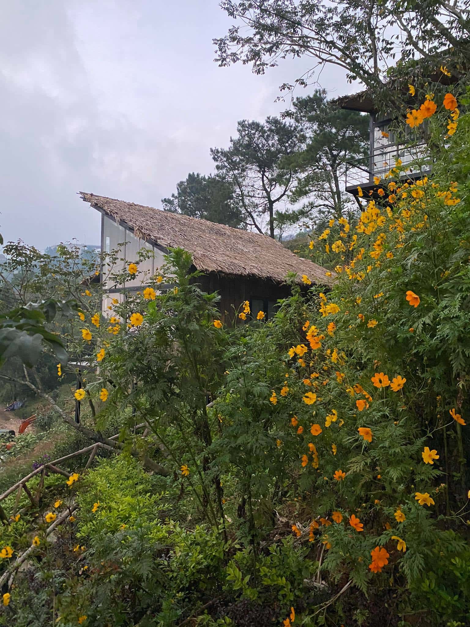 khuon vien chillout village tam dao 