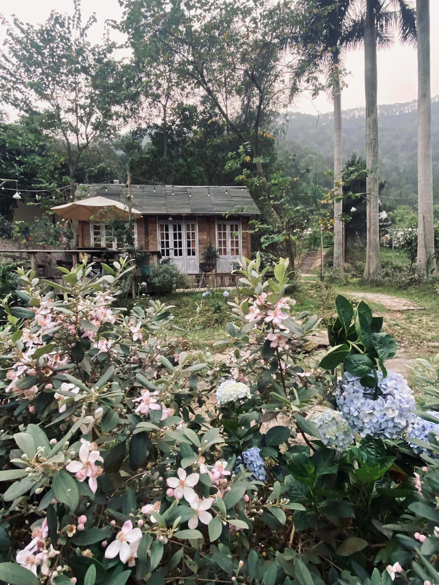 nha ben suoi may homestay soc son