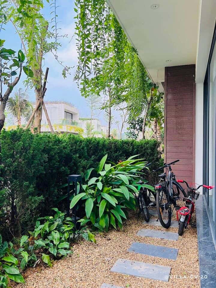 Xe đạp 