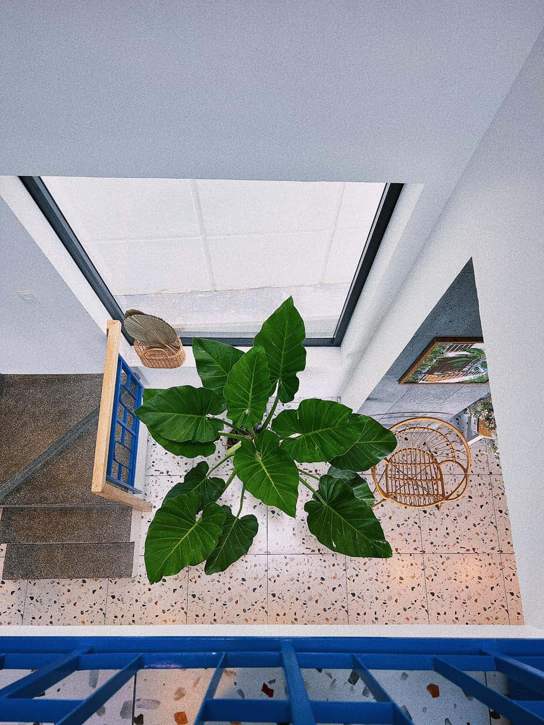 Villa 96/5 Trần Phú, Vũng Tàu — 照片 23