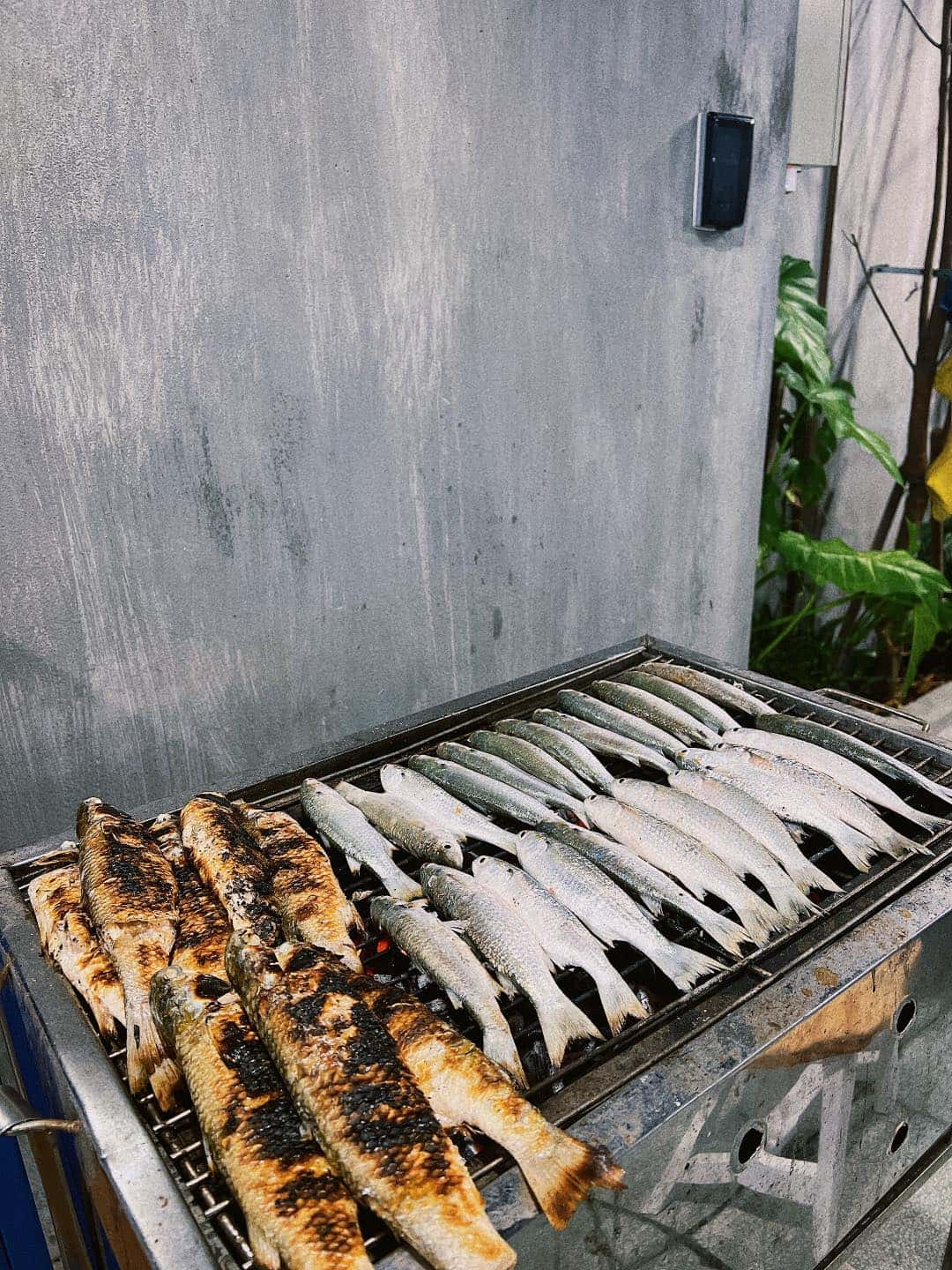 BBQ烧烤炉