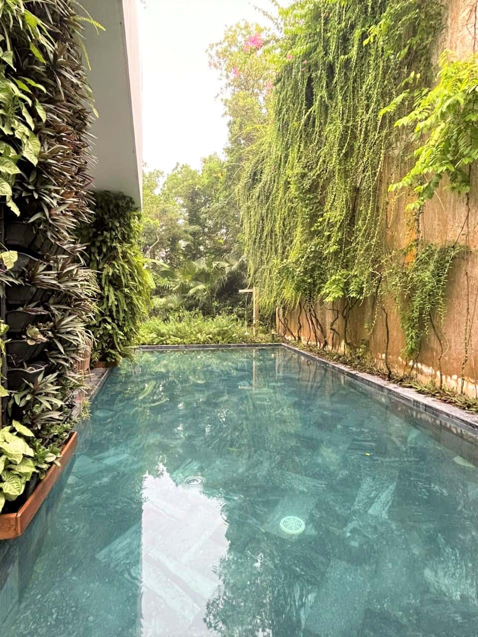 Villa HO15, Flamingo Đại Lải — photo 7