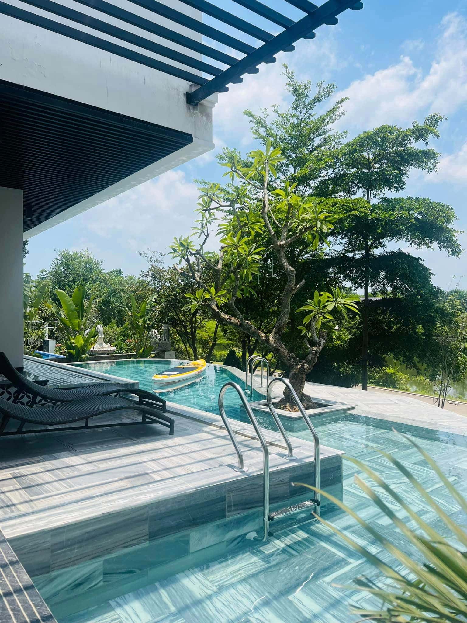 Pool loungers