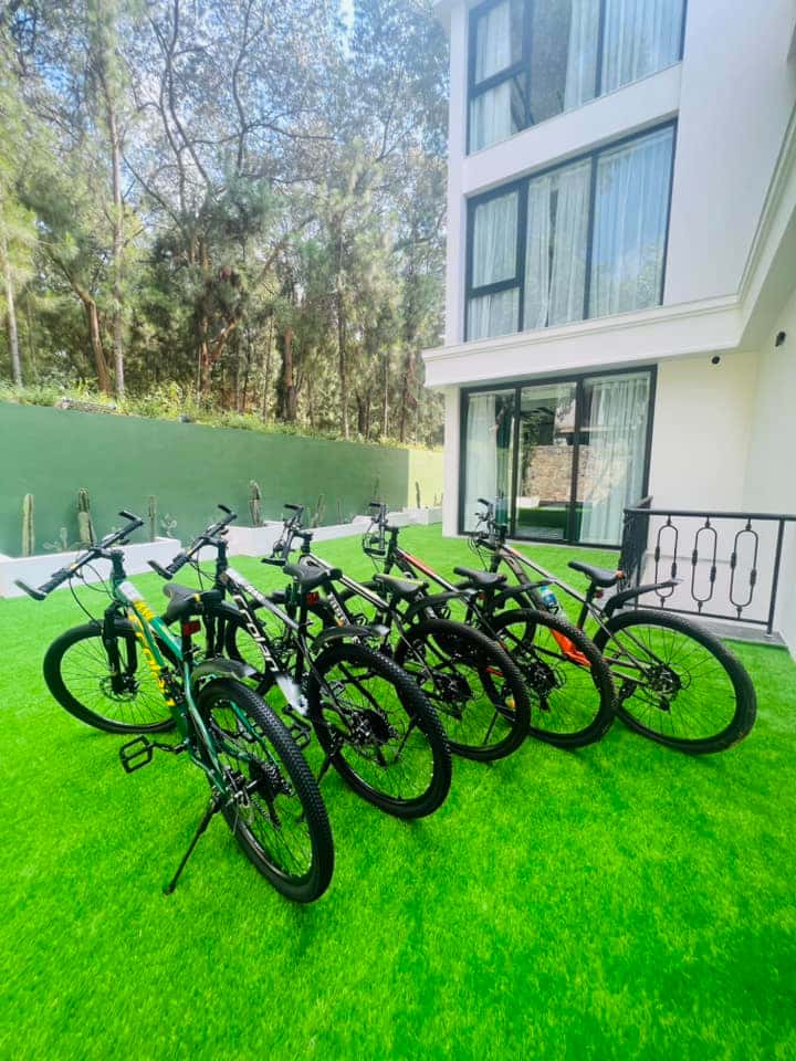 5 bikes