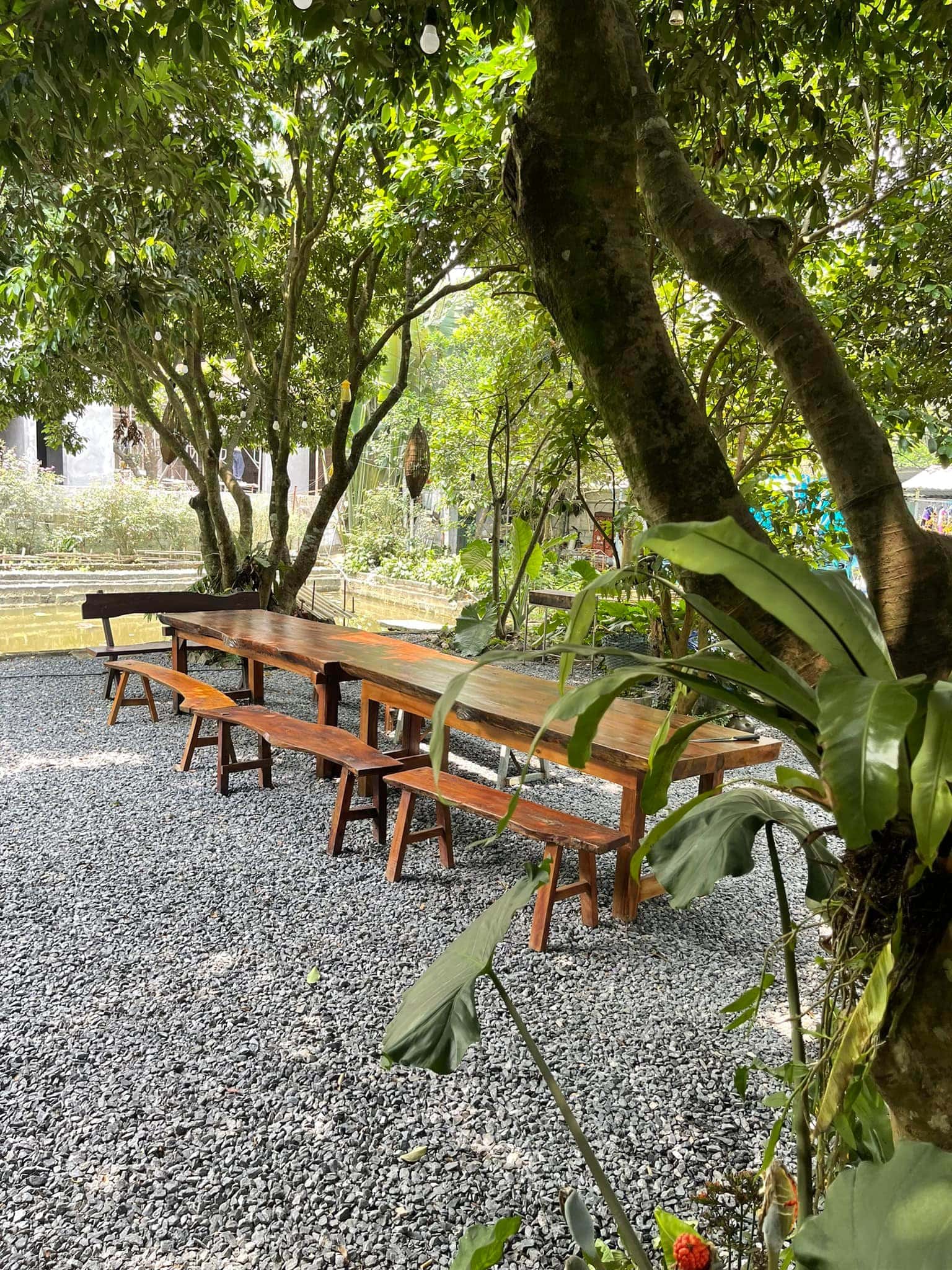 justfly giang house hoa binh