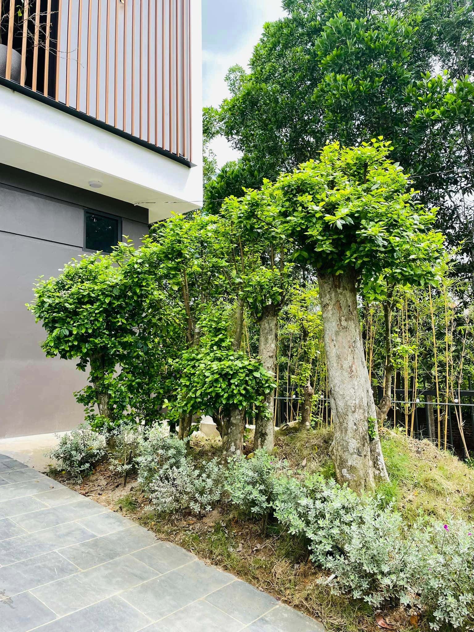 Lala Villa tại Yên Bài, Ba Vì — ảnh 15
