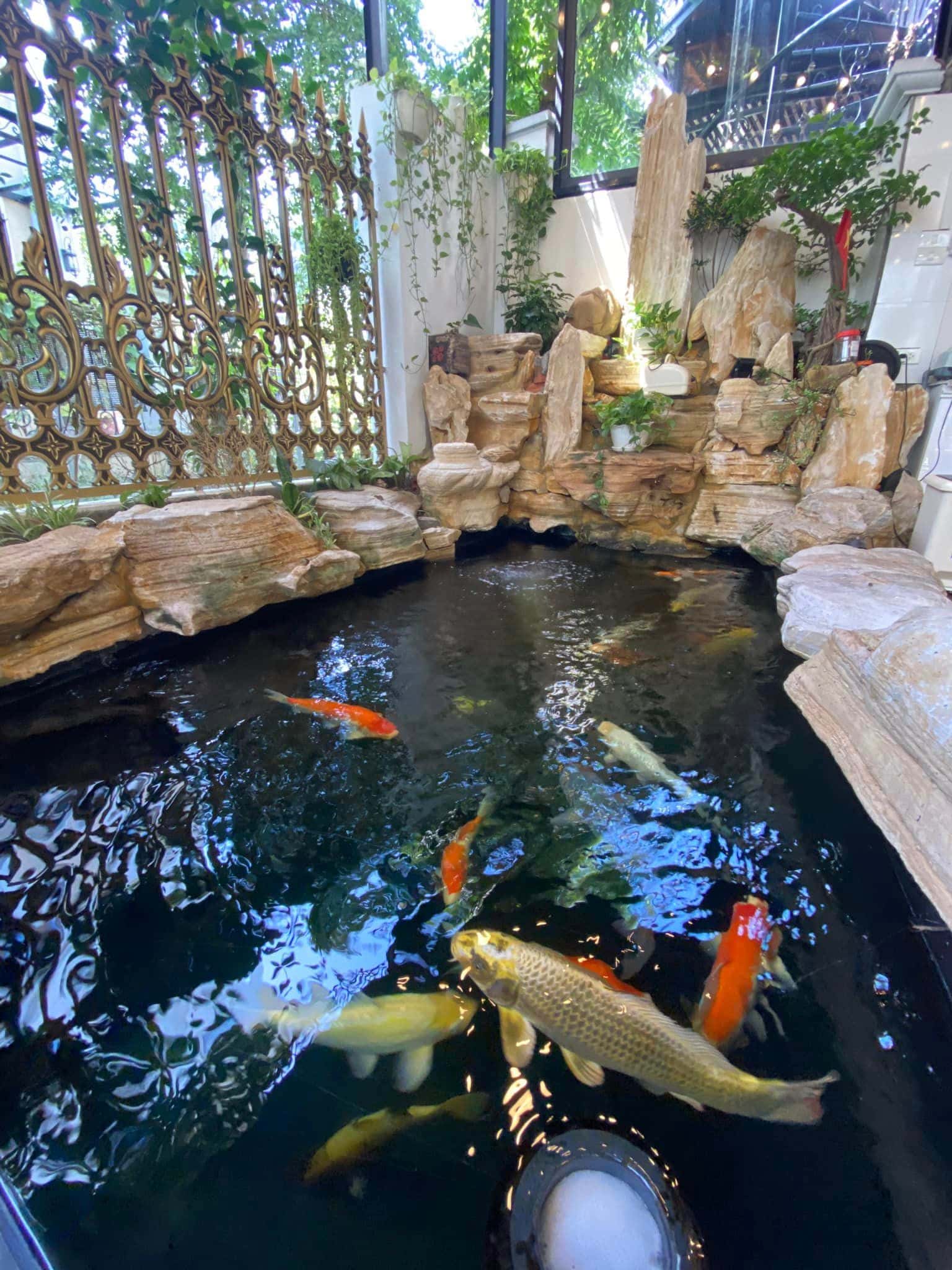 Rosalia Villa, Hạ Long — ảnh 7