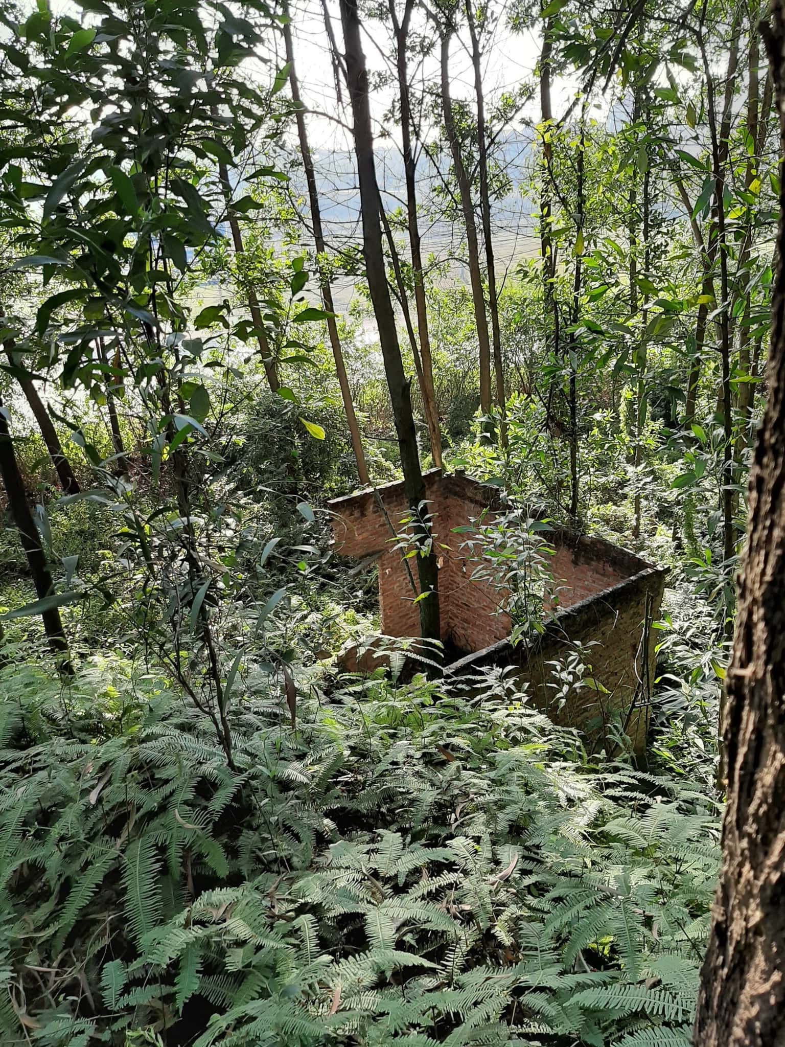 Núi Đôi Sóc Sơn — photo 15