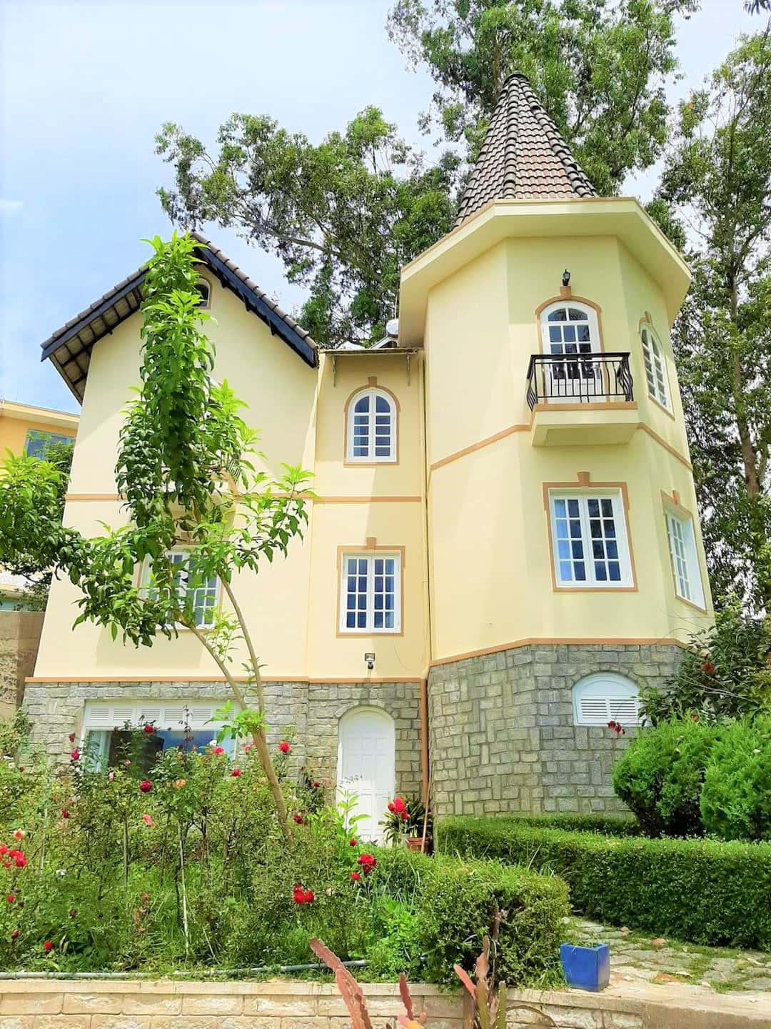 Bạch Đàn Trắng，大叻 — 照片 7