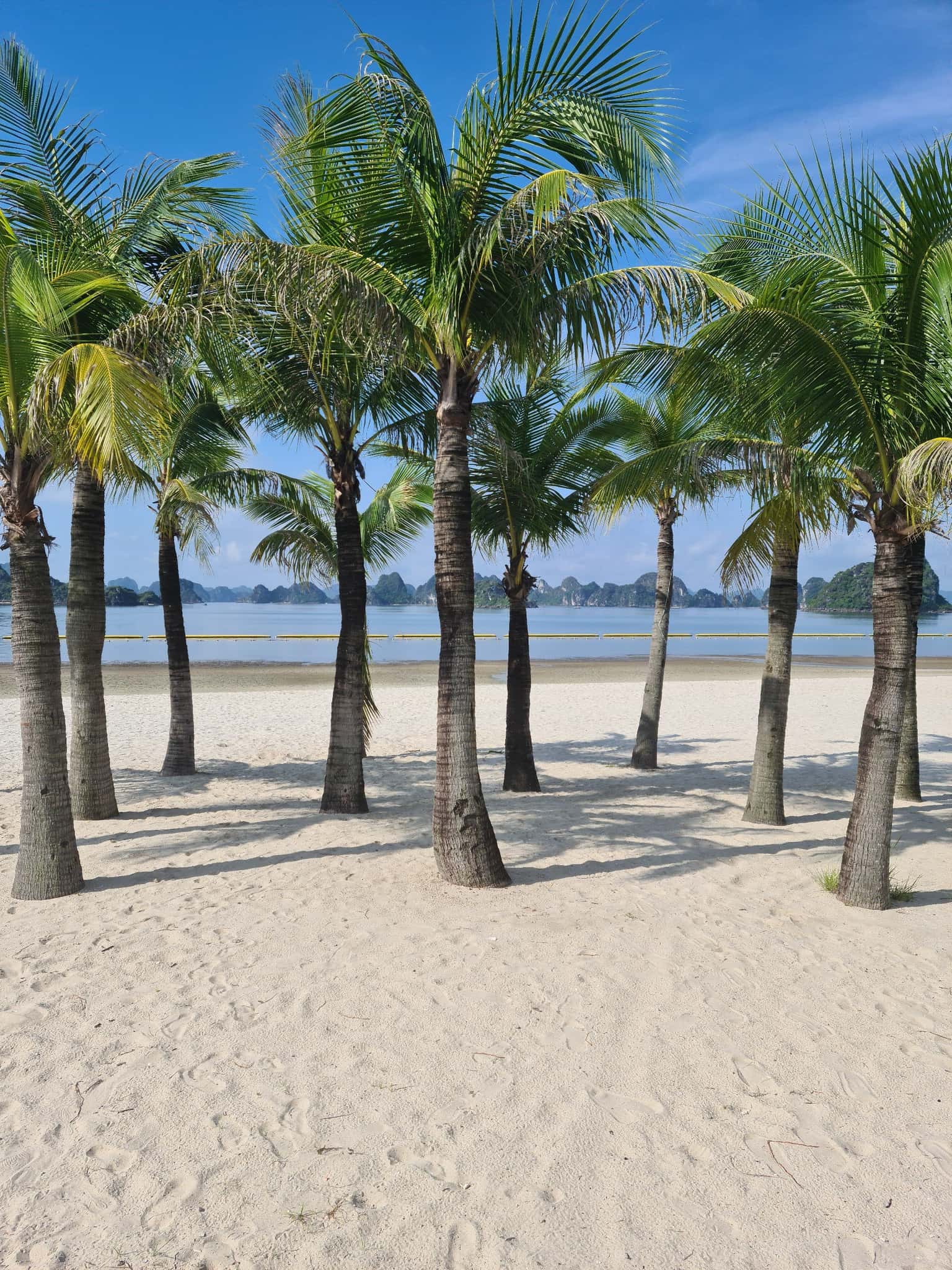 Hòn Gai, Hạ Long  — ảnh 6