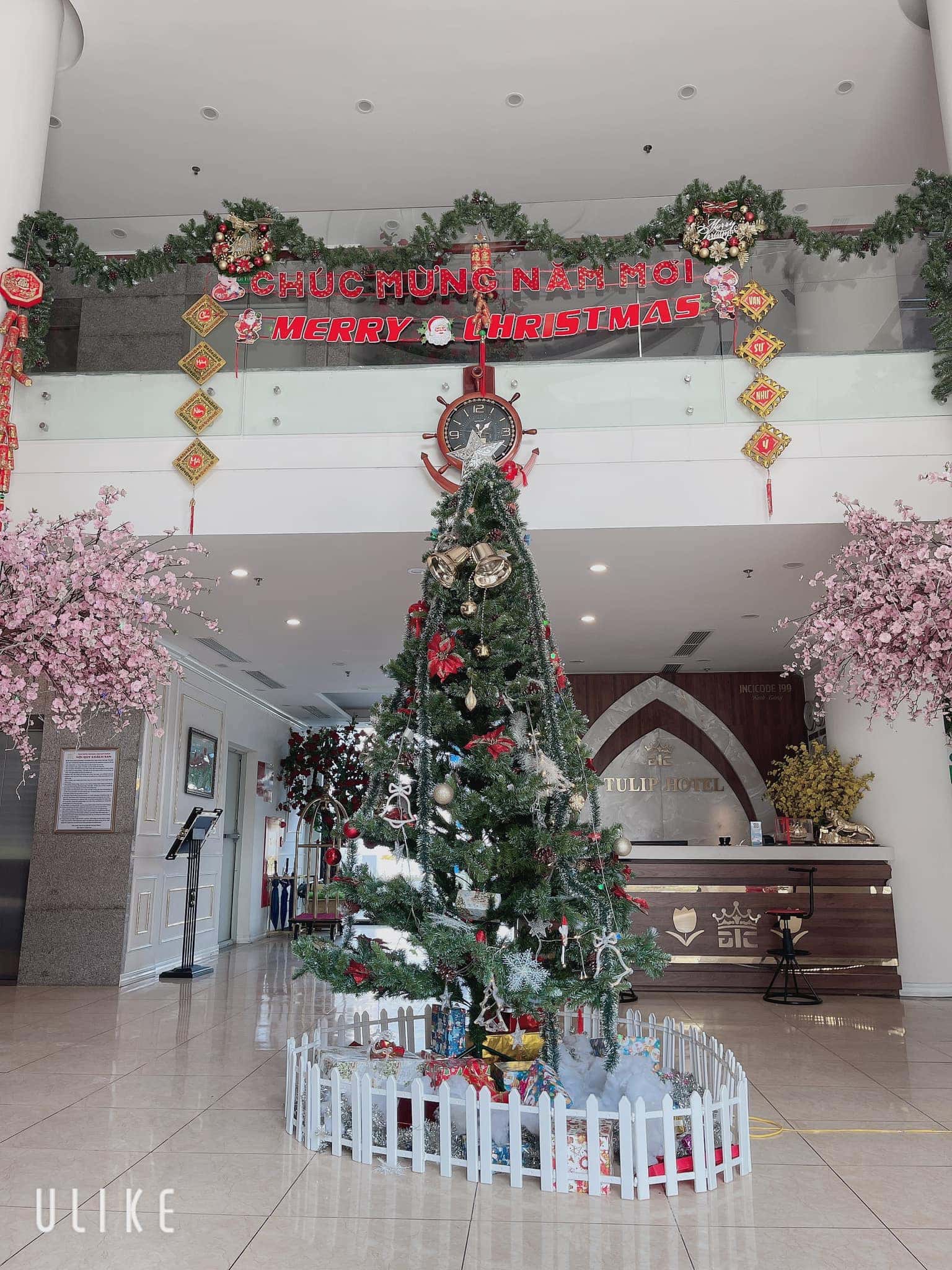Công viên nước Ninh Bình — ảnh 18