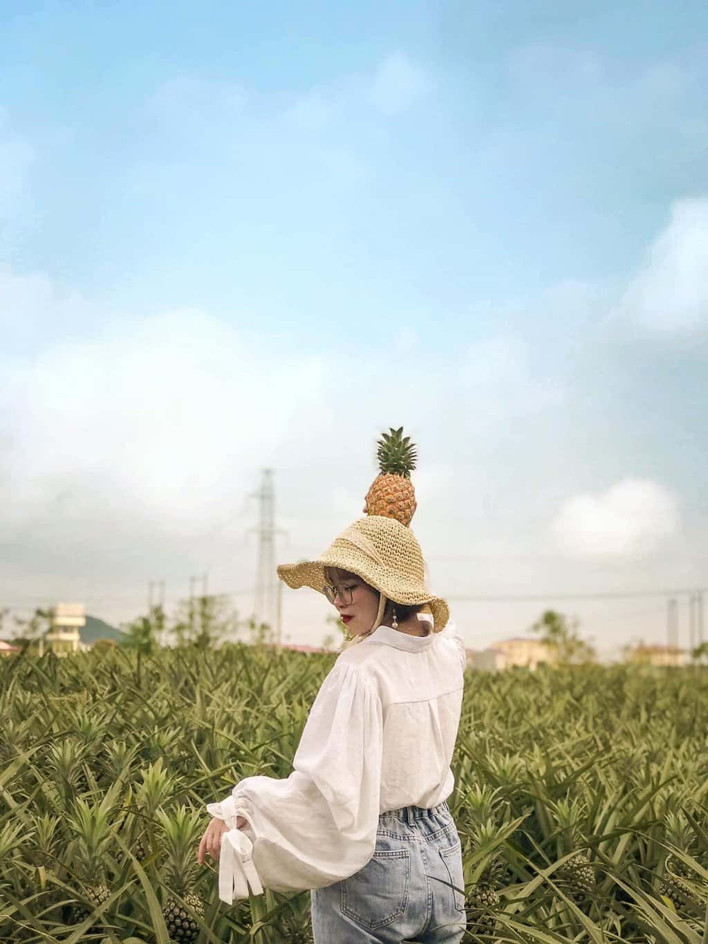 宁平Tam Hiệp菠萝丘 — 照片 22