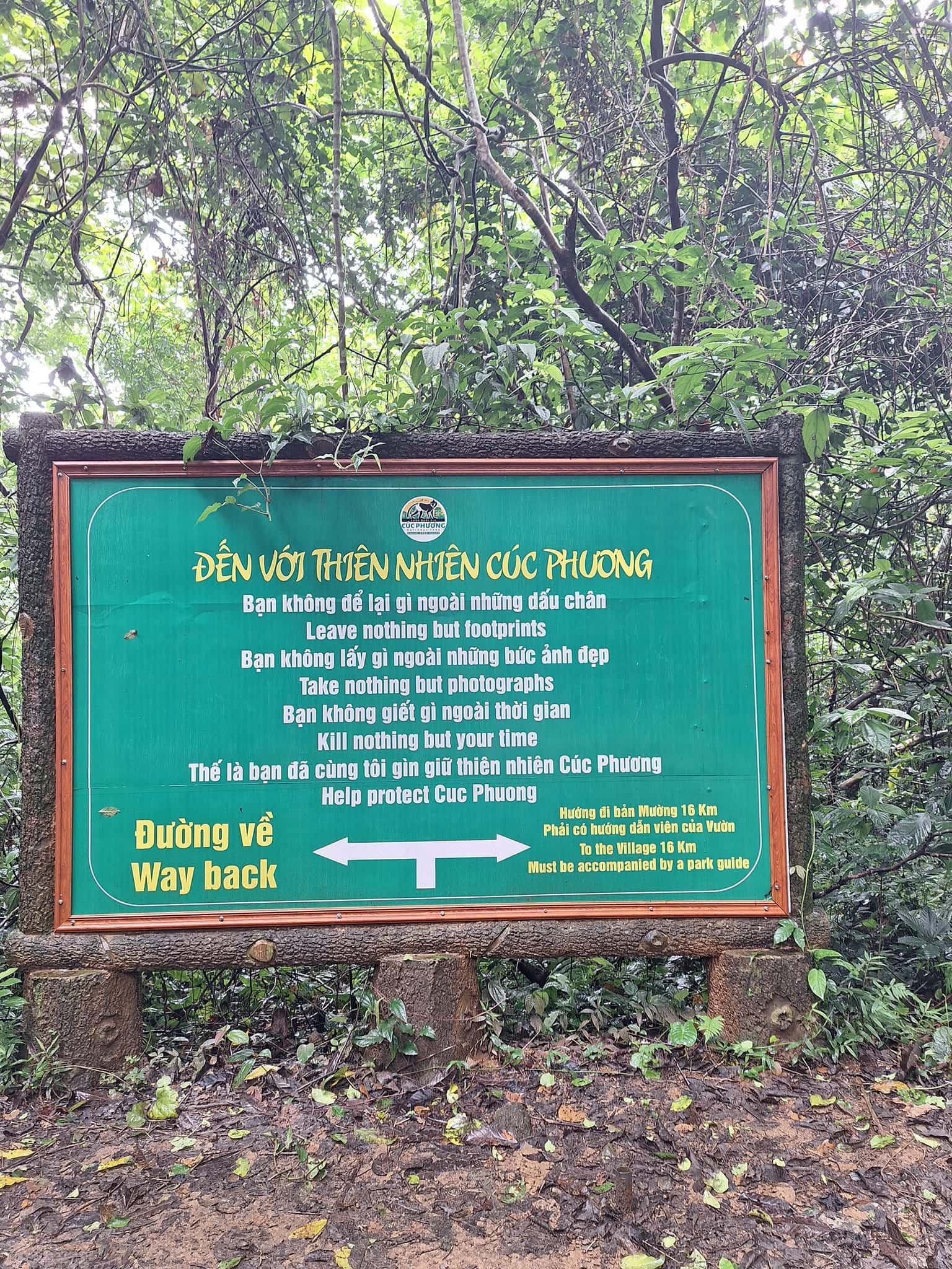 Vườn Quốc gia Cúc Phương, Ninh Bình — ảnh 17