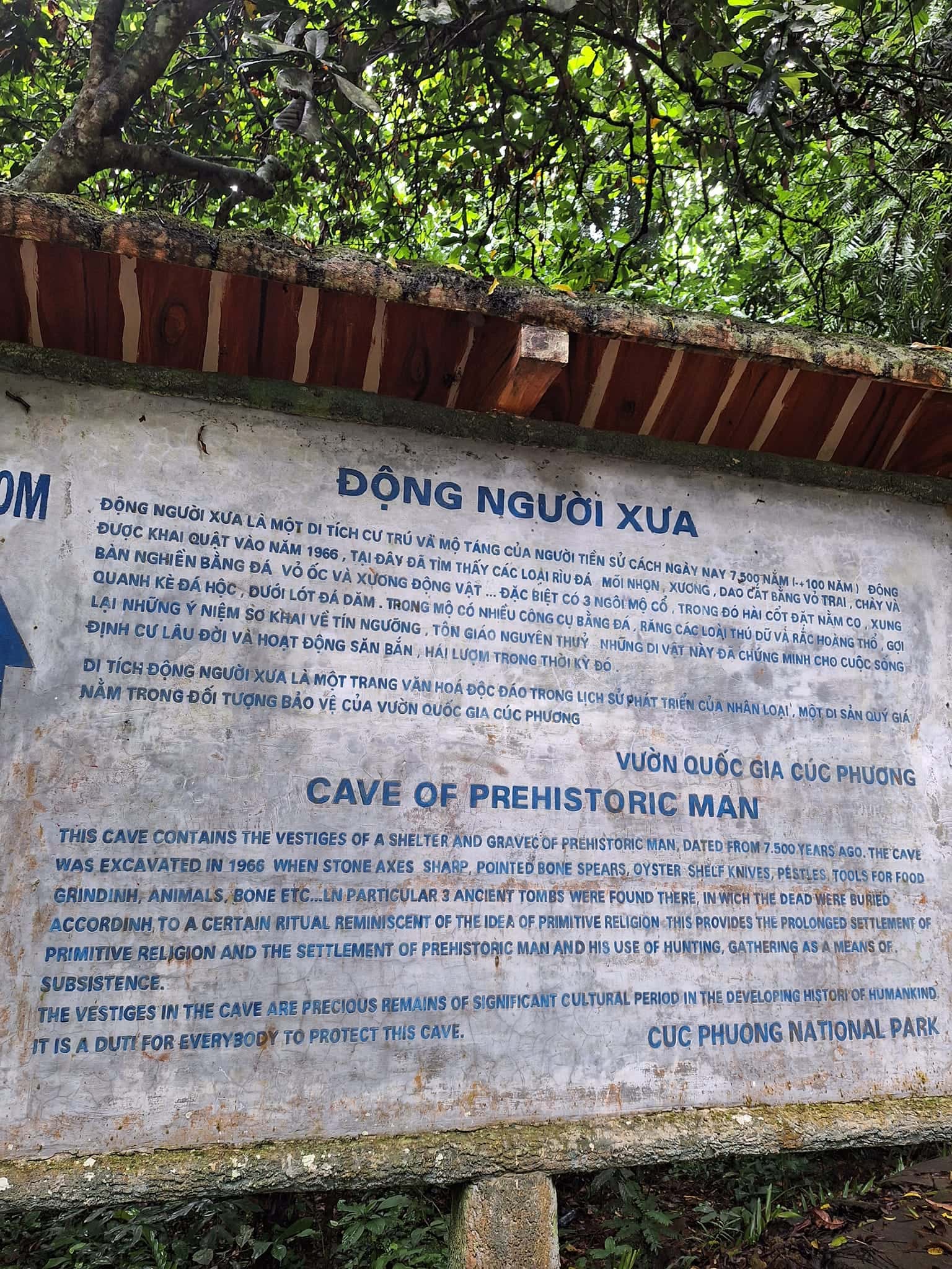 Vườn Quốc gia Cúc Phương, Ninh Bình — ảnh 24