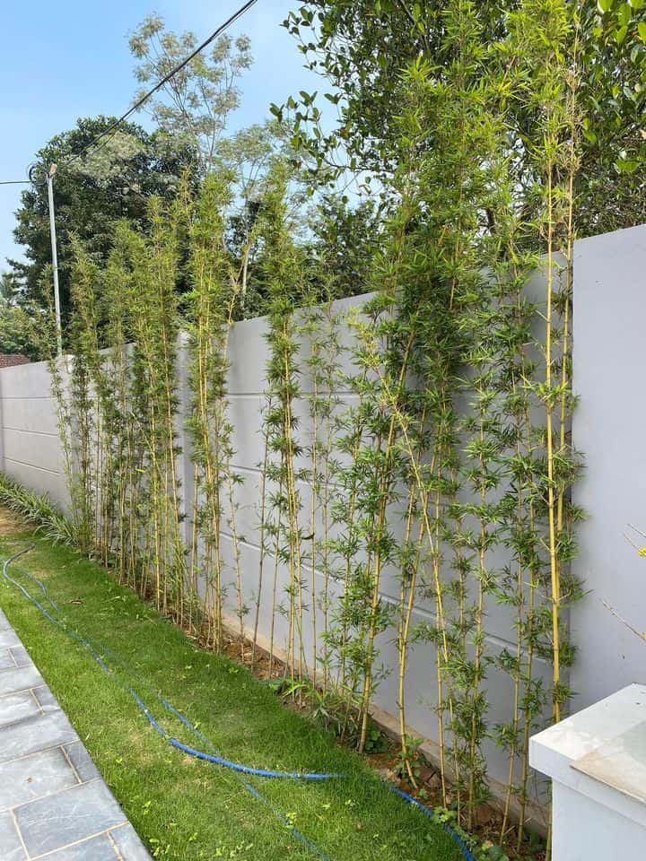 Yoti Villa, Ba Vì () — ảnh 9