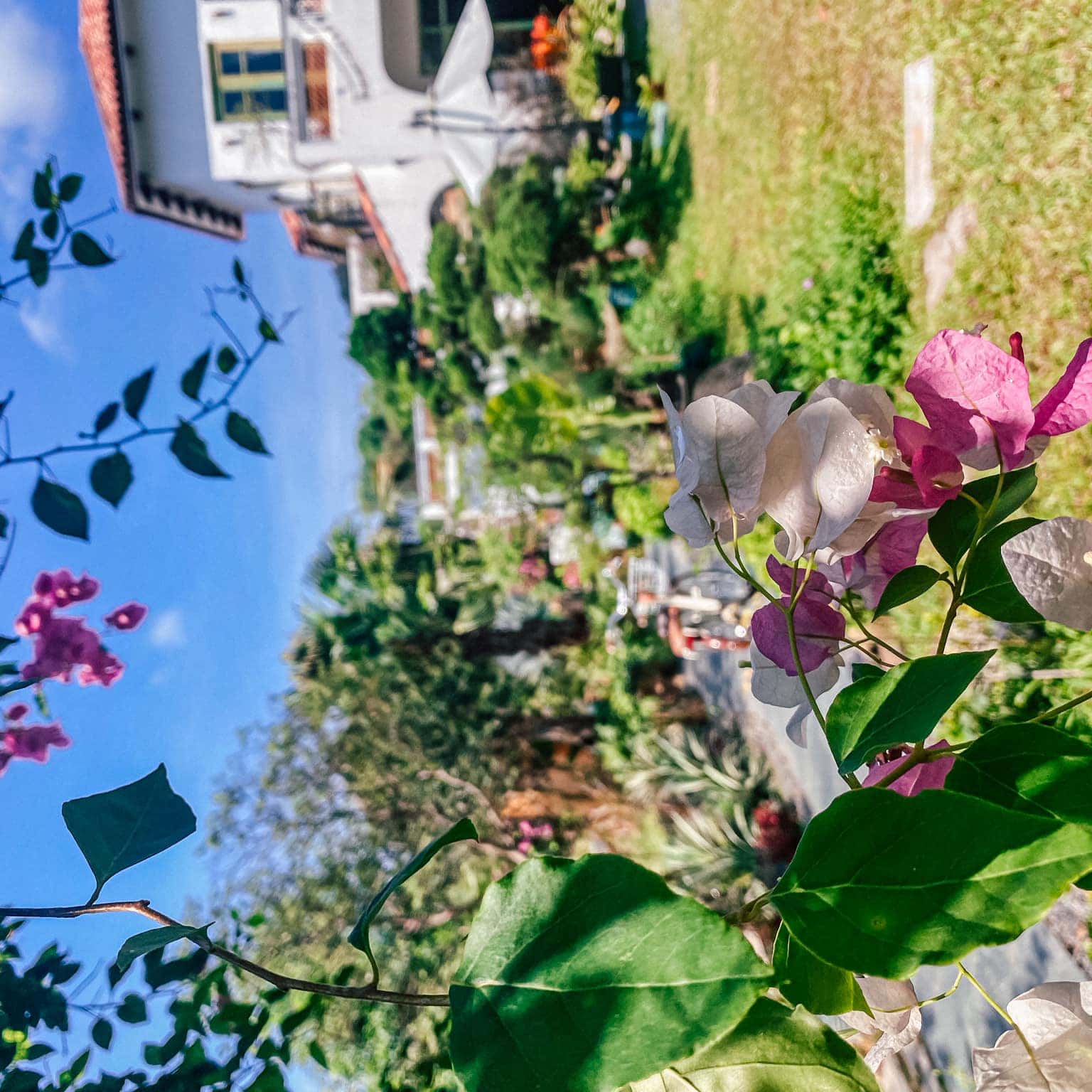 Casa Bonita tại Yên Bài, Ba Vì — ảnh 23