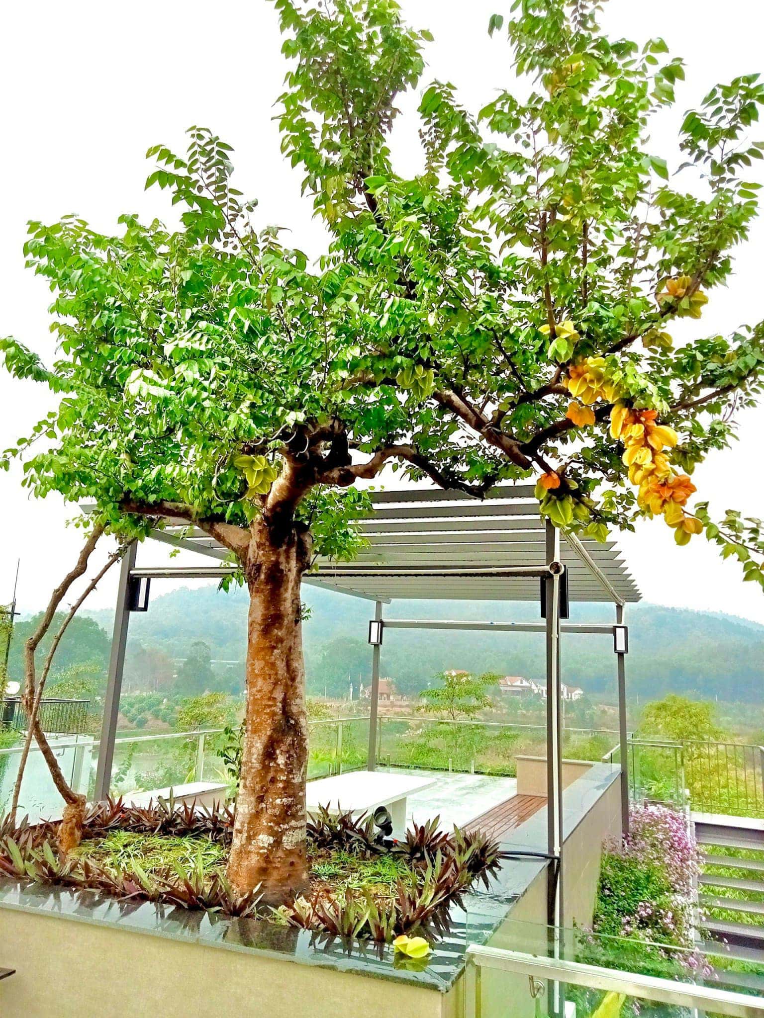 An Giang Villa HA30, Venus Đại Lải — photo 13