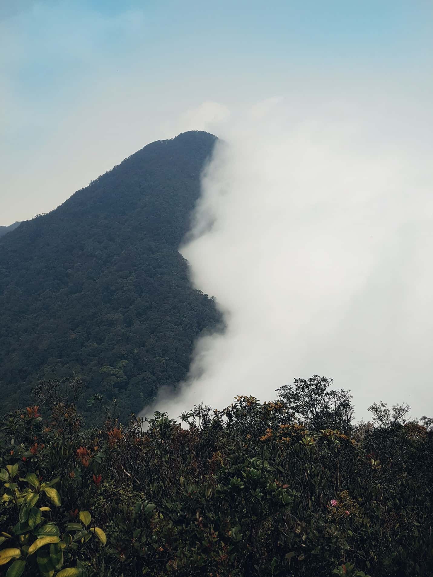 dinh rung rinh tam dao vinh phuc