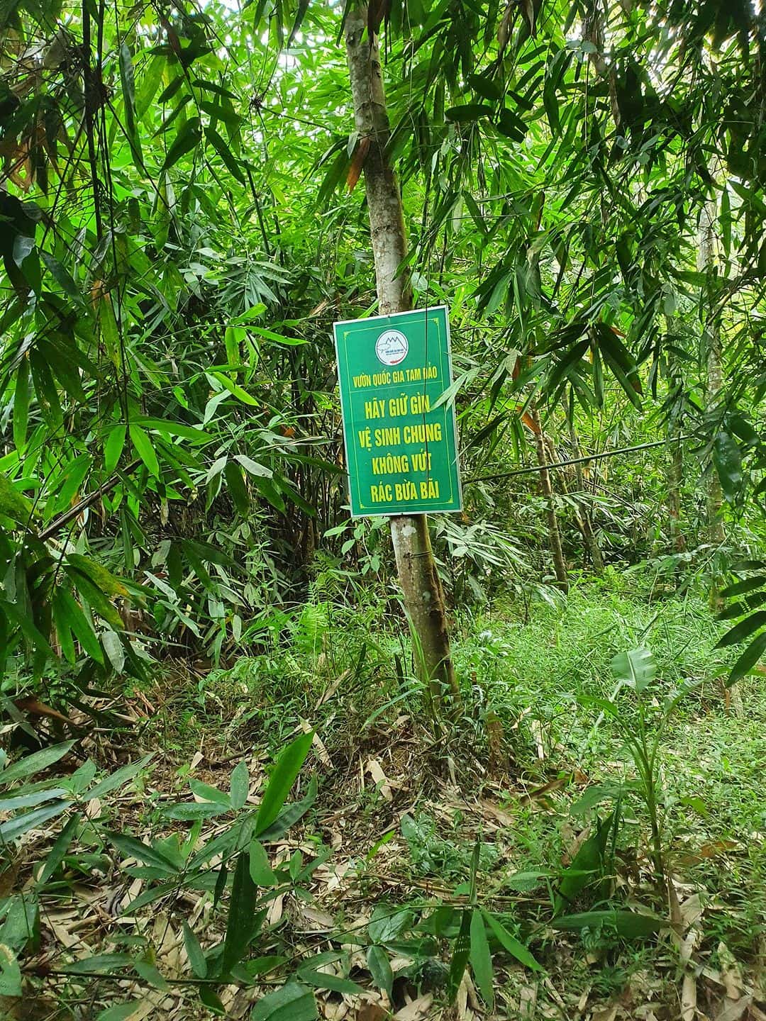 vuon quoc gia tam dao vinh phuc